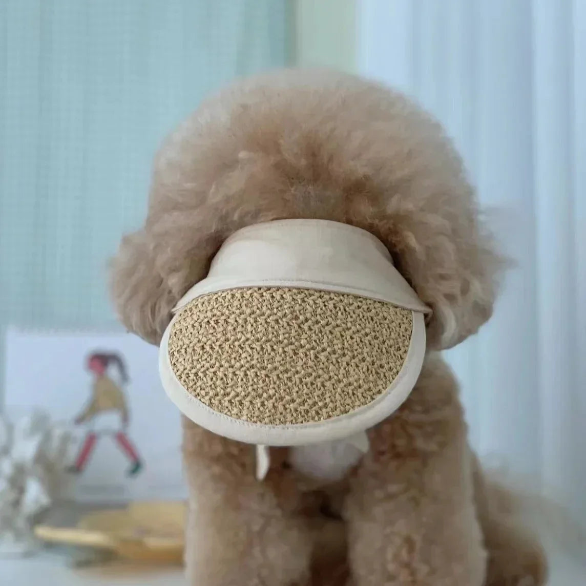 Summer Pet Cat Dog Hats For puppyTeddy Sun Protection Hat Adjustable Rope Photo Travel Pet Birthday Fashion Puppy Cap Supplies