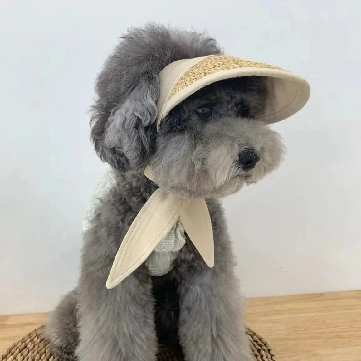 Summer Pet Cat Dog Hats For puppyTeddy Sun Protection Hat Adjustable Rope Photo Travel Pet Birthday Fashion Puppy Cap Supplies